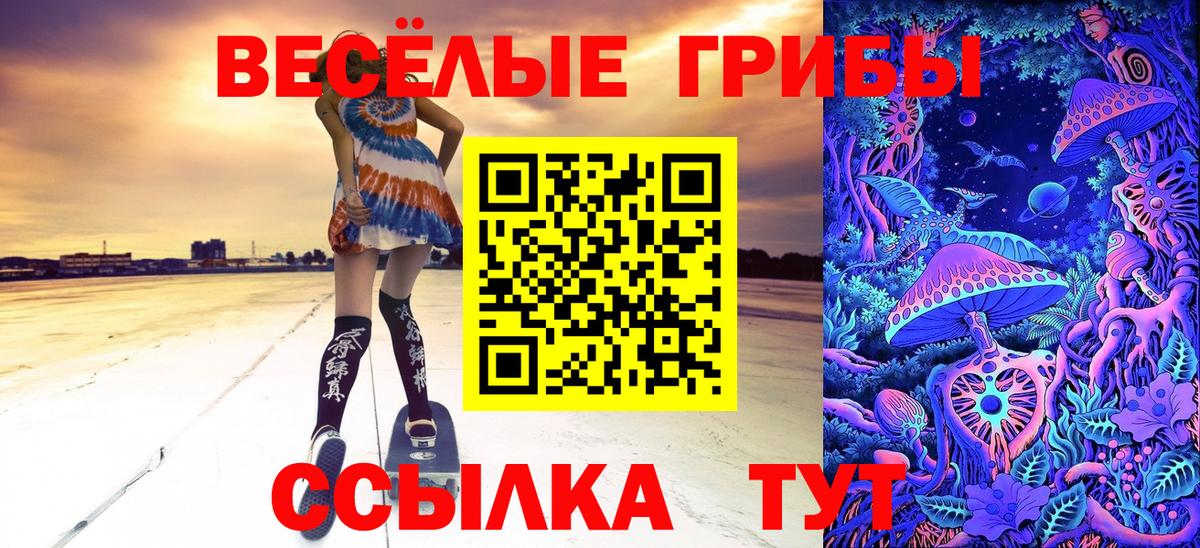 Галлюциногенные грибы мухоморы  Вход с VPN  Ишим 